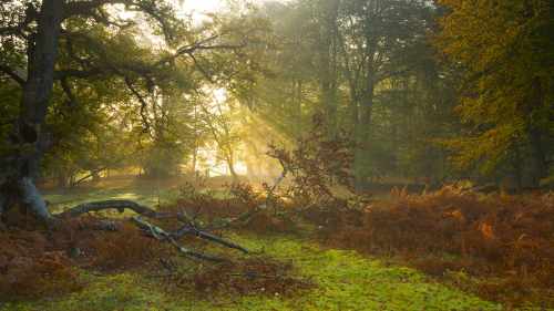 從零開始教如何解決展廳設計施工一體化服務缺點的問題! 從零開始教如何解決展廳設計施工一體化服務缺點的問題!