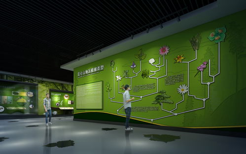 多媒體展覽展館設計（多媒體展廳）