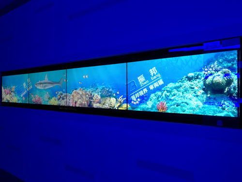 廣州展廳多媒體哪個好(展廳多媒體技術有哪些) 廣州展廳多媒體哪個好(展廳多媒體技術有哪些)