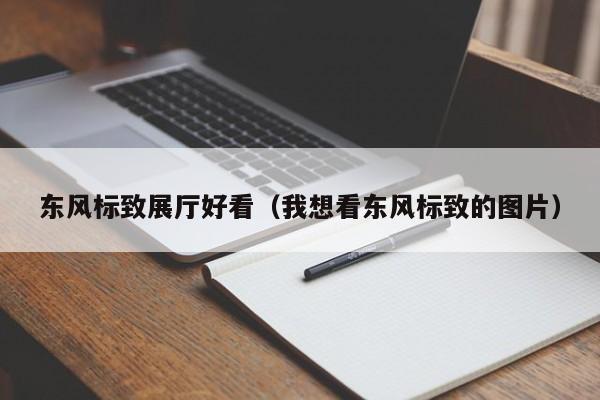 東風標致展廳好看（我想看東風標致的圖片）