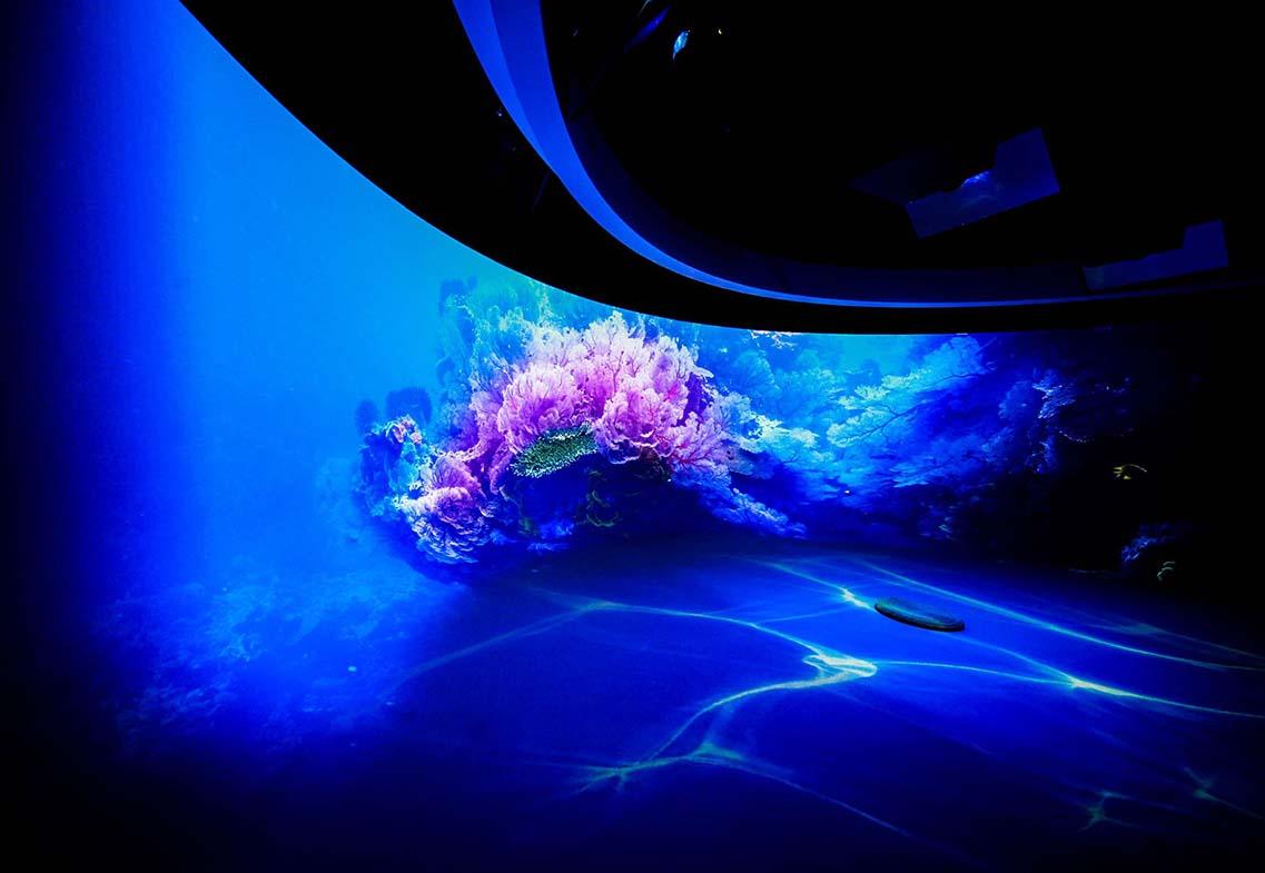 為什么有些人幾乎總能輕松解決黨史展廳策劃主題 為什么有些人幾乎總能輕松解決黨史展廳策劃主題