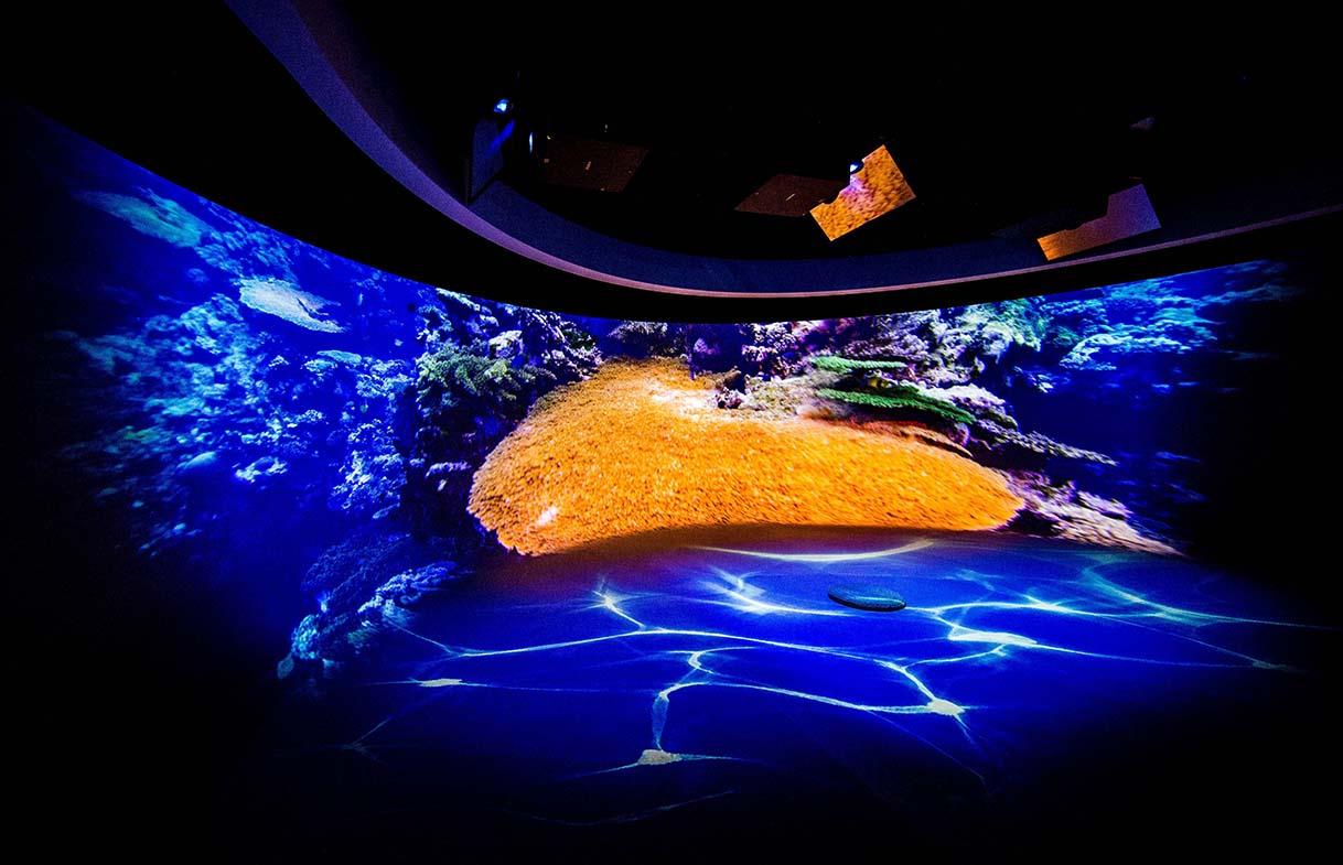 終于找到圣誕節(jié)展廳布置問題成功的原因! 終于找到圣誕節(jié)展廳布置問題成功的原因!